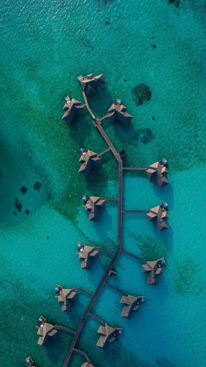 Bird saw a Resort on Coast