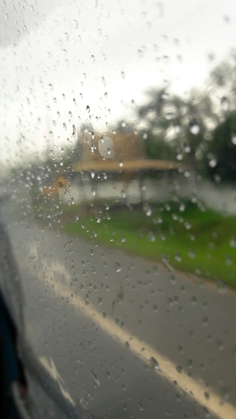 in the rain