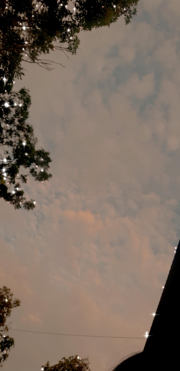 evening