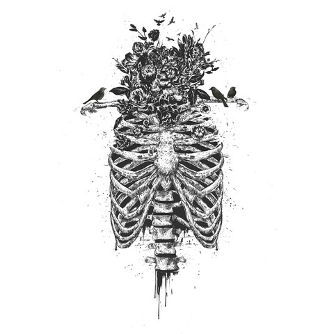 Illustration