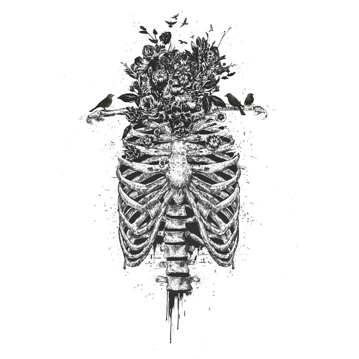 Illustration