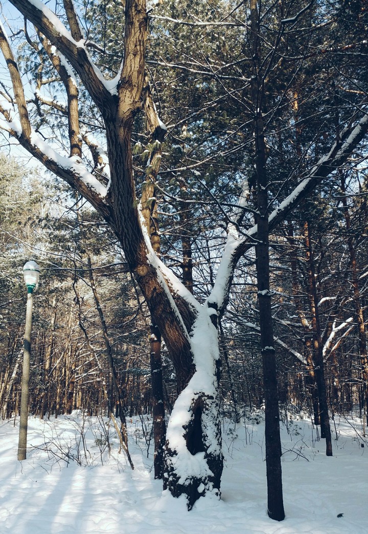 Bien-être
