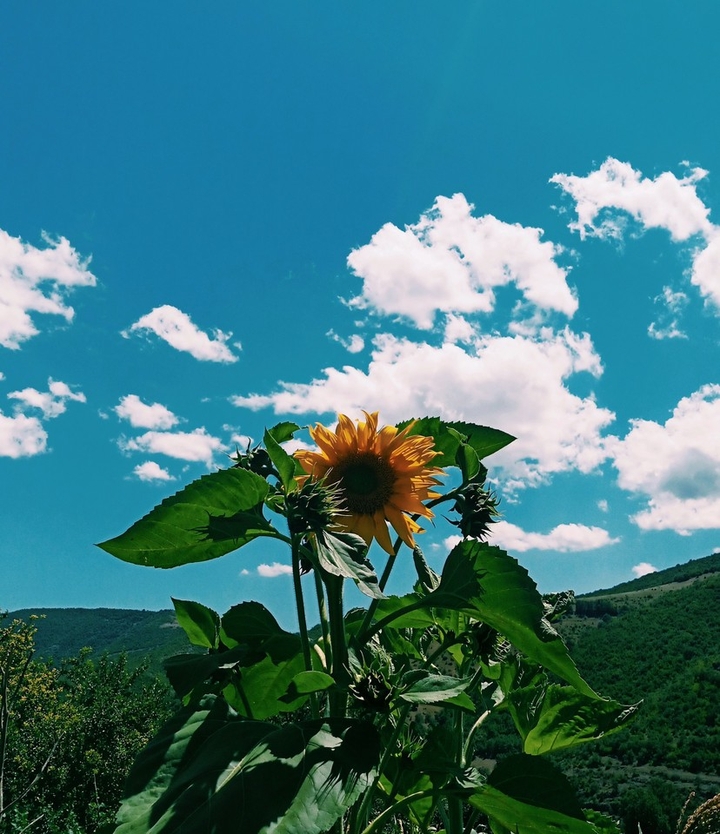 nature