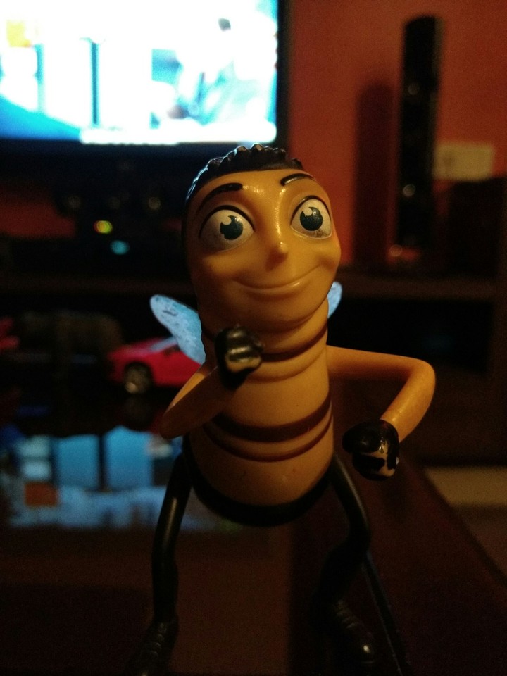 honey bee