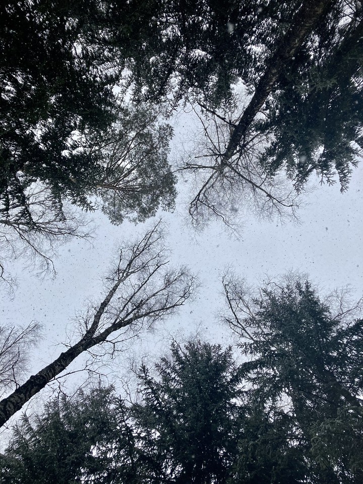 Winter sky