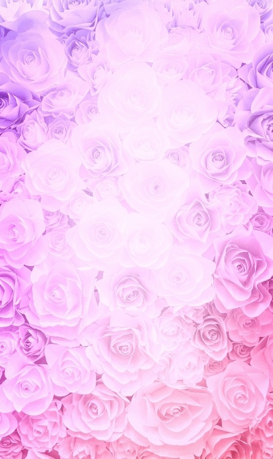 Pink Roses