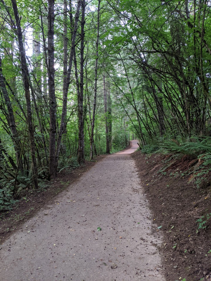 Walking Trail