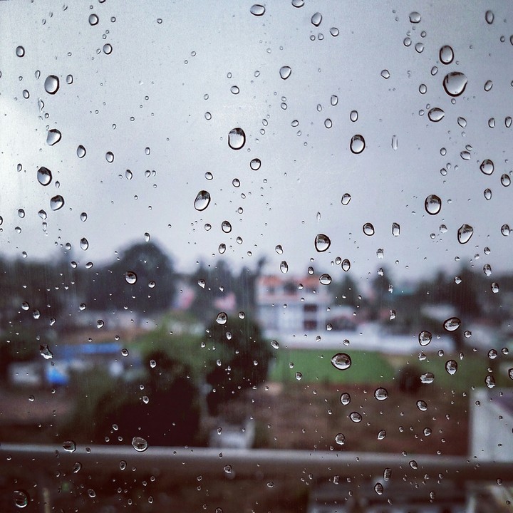 Rain Drops