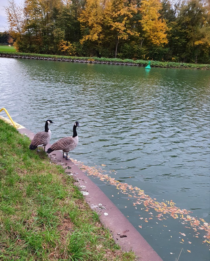 nature