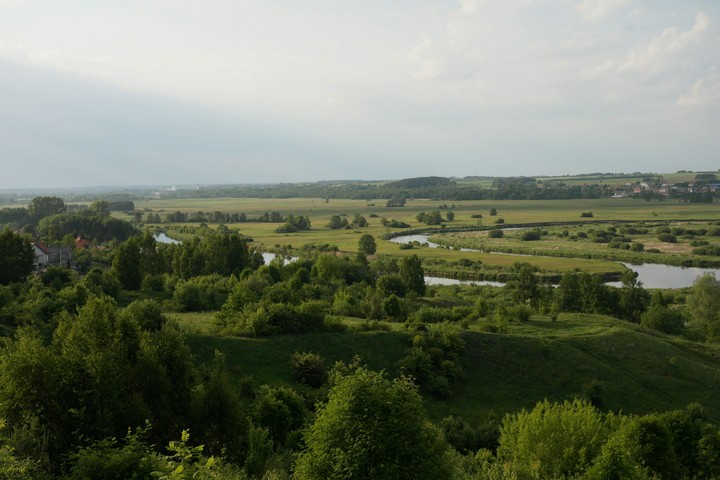Narew