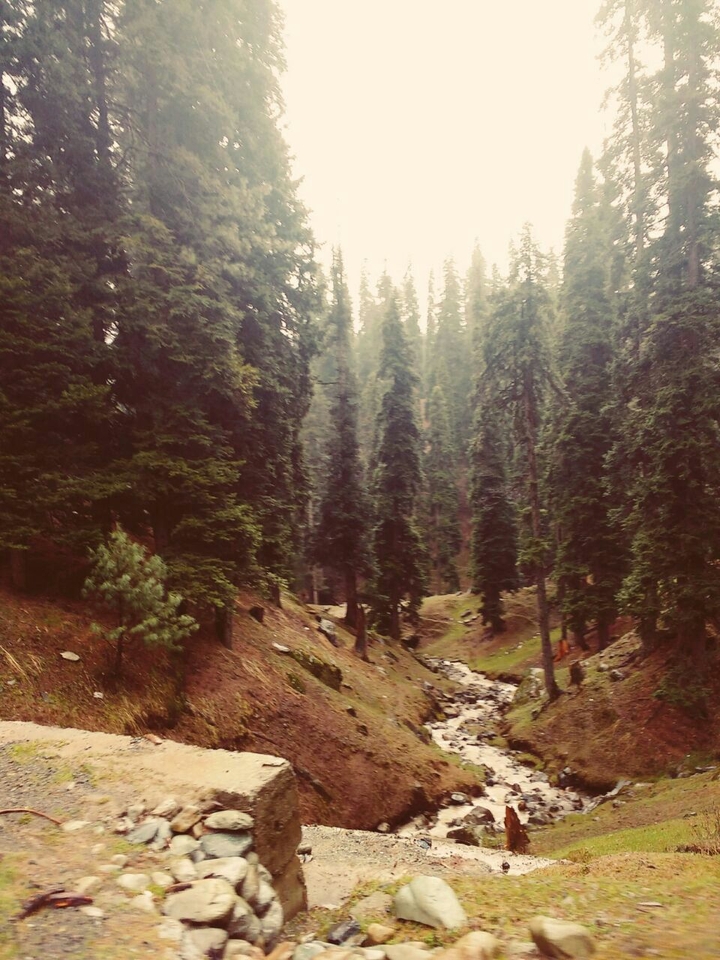 Heaven On Earth