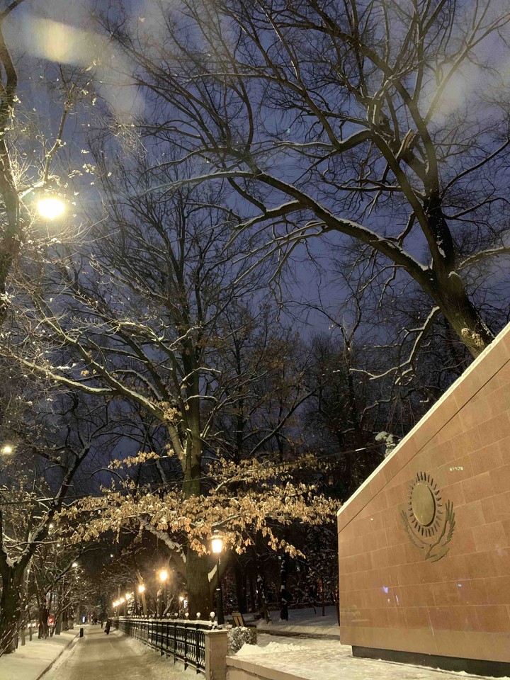 winter night ❄️