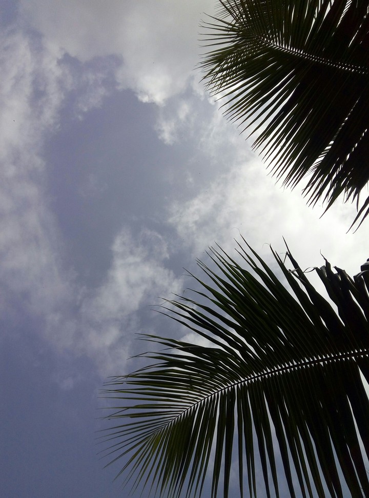 below the sky
