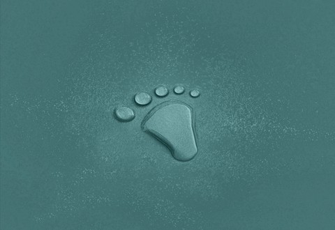 Water Footprint