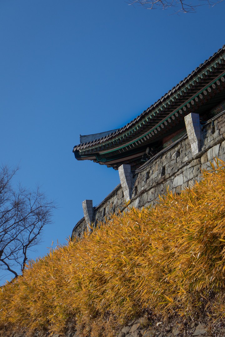성
