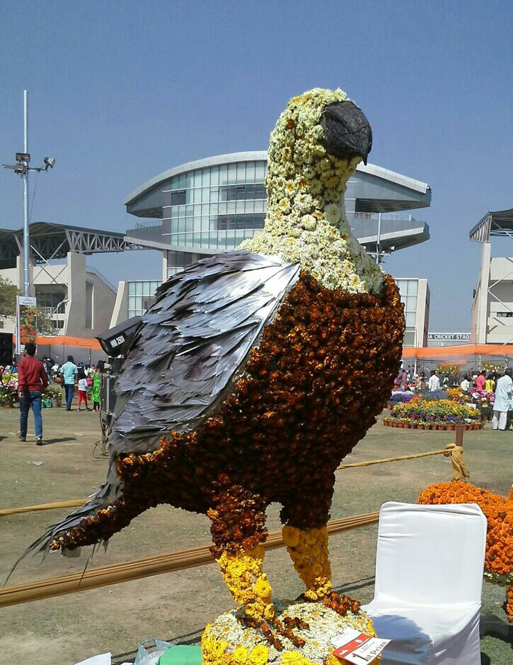 Flower eagle