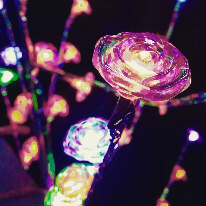 Lights