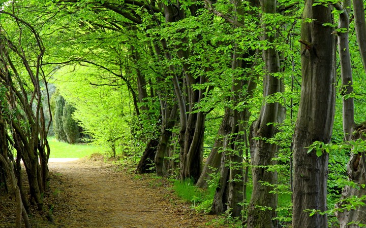 green