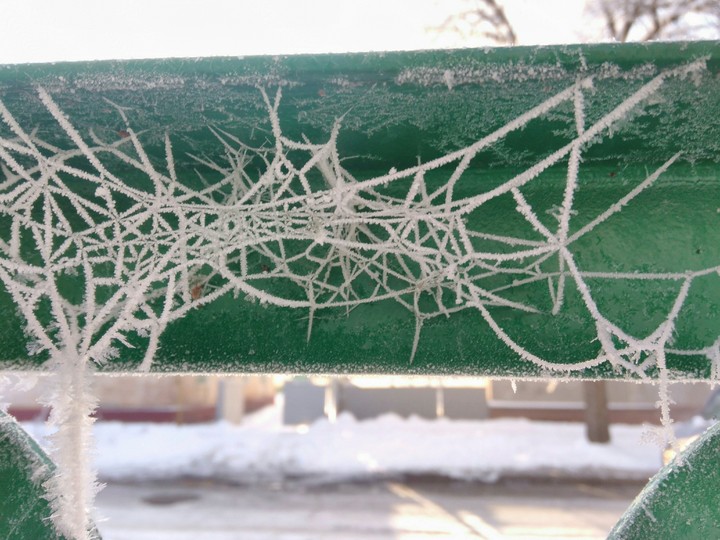 web, winter, andy