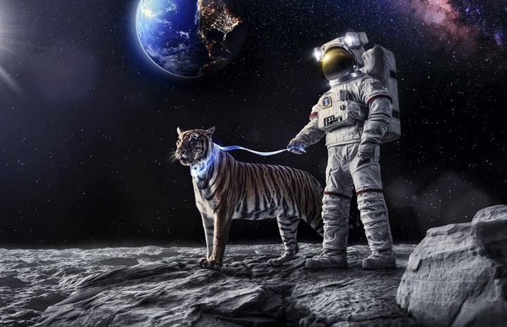 Pintura na Lua