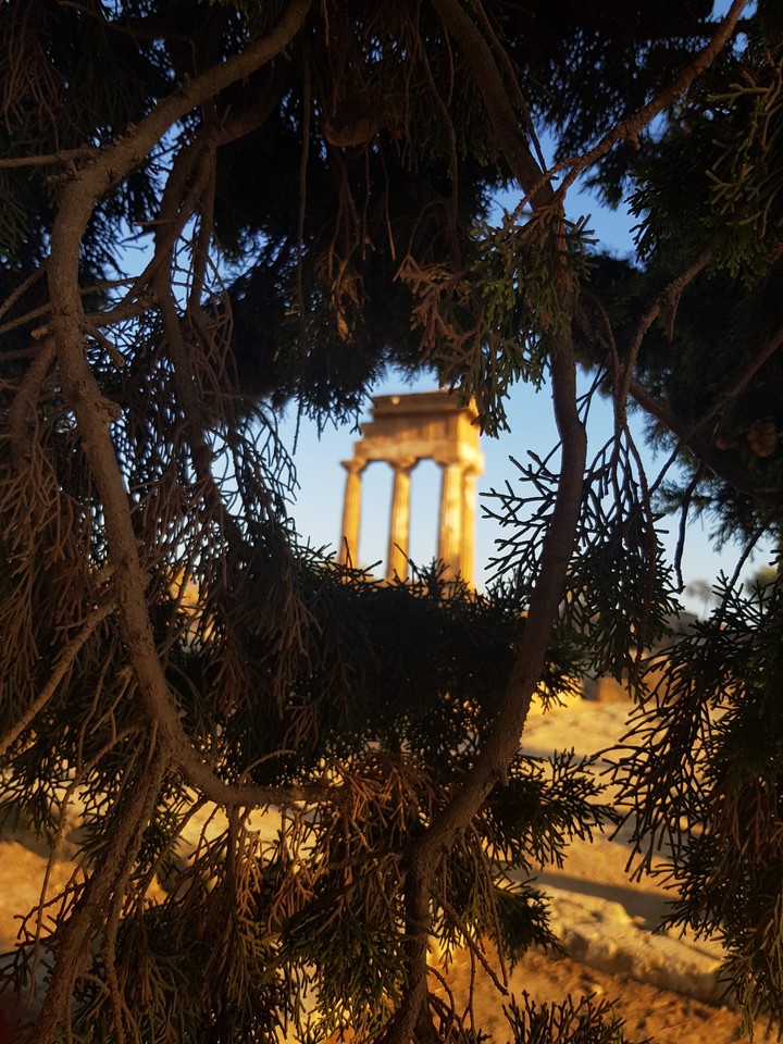 Dioscuri  valle dei templi