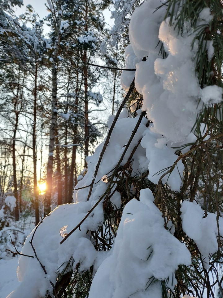 winter