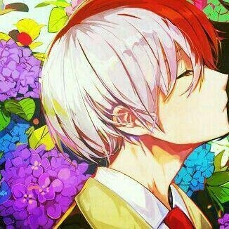 ShotoTodoroki