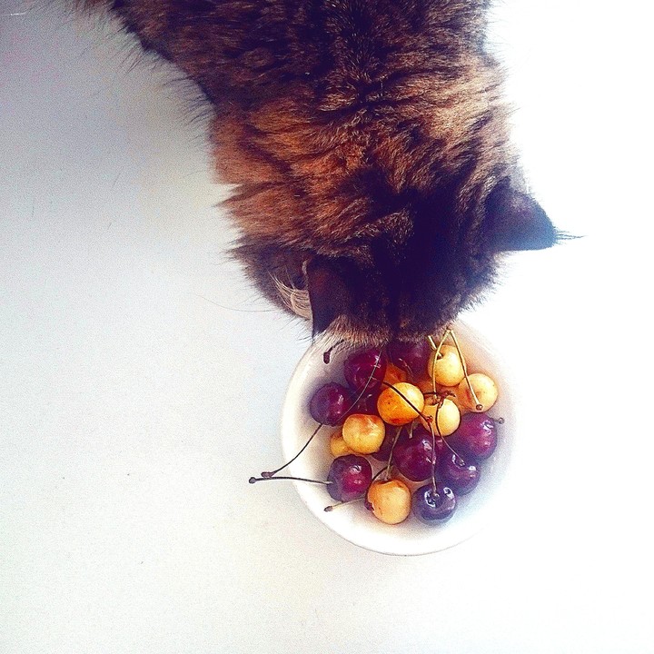 sweet sweet cherry 
