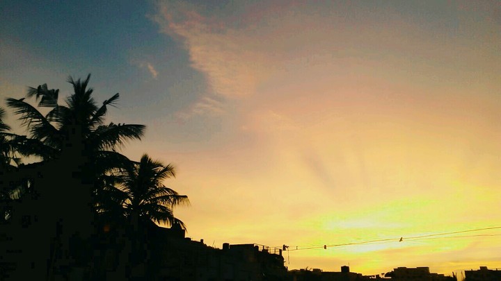 Evening Sunset