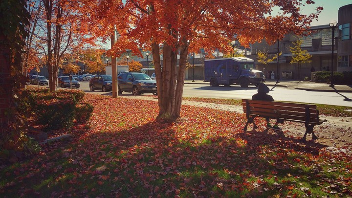 Autumn