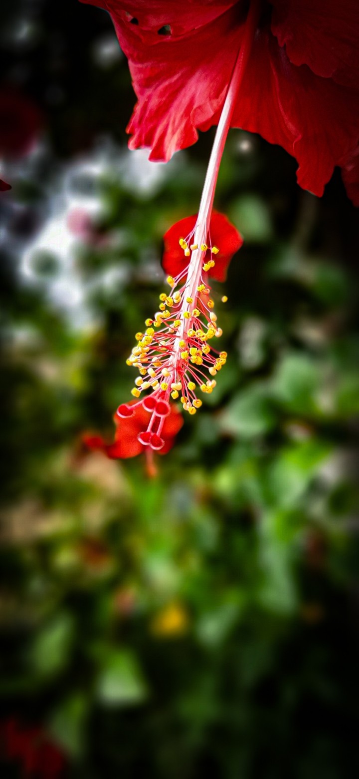 Natural beauty