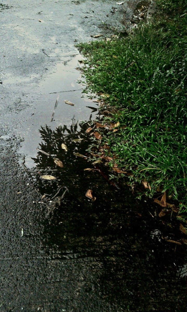 after rain