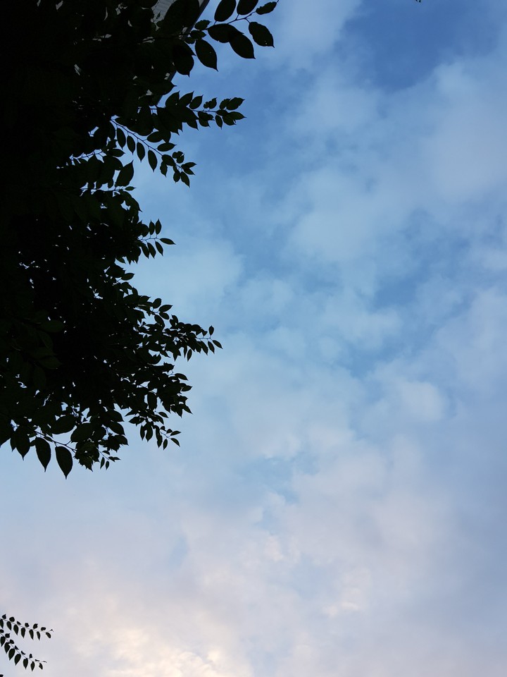 하늘