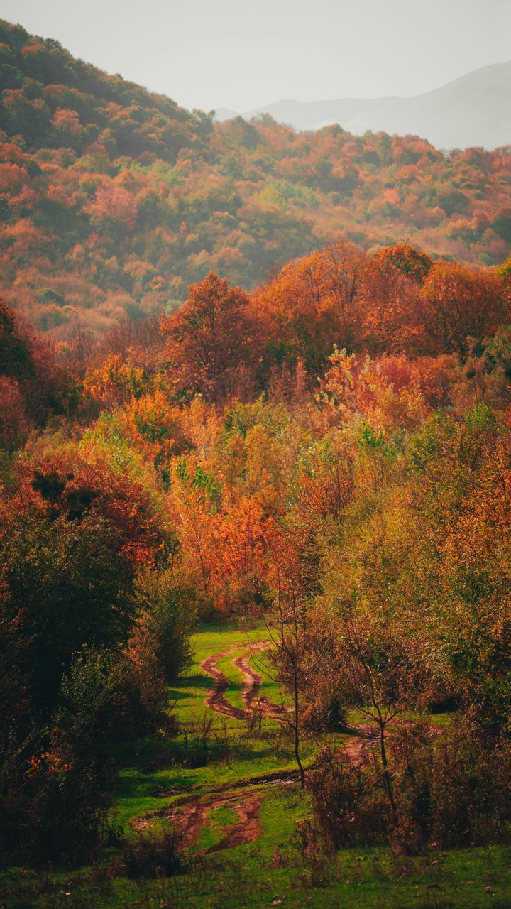 AUTUMN LANDSCAPE