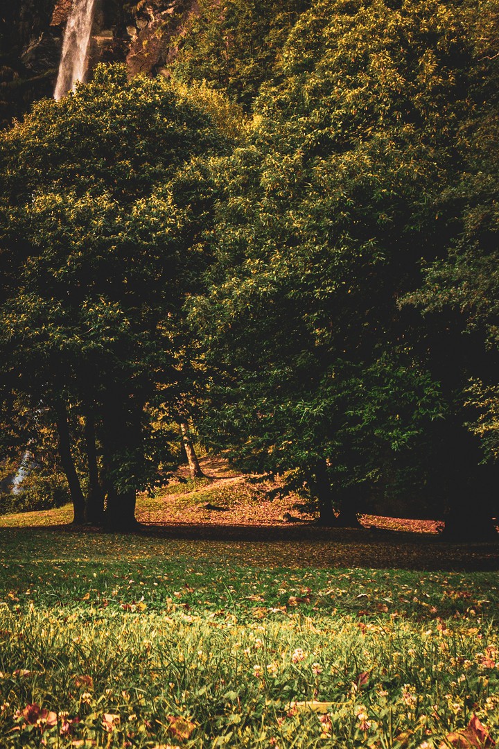 autumn