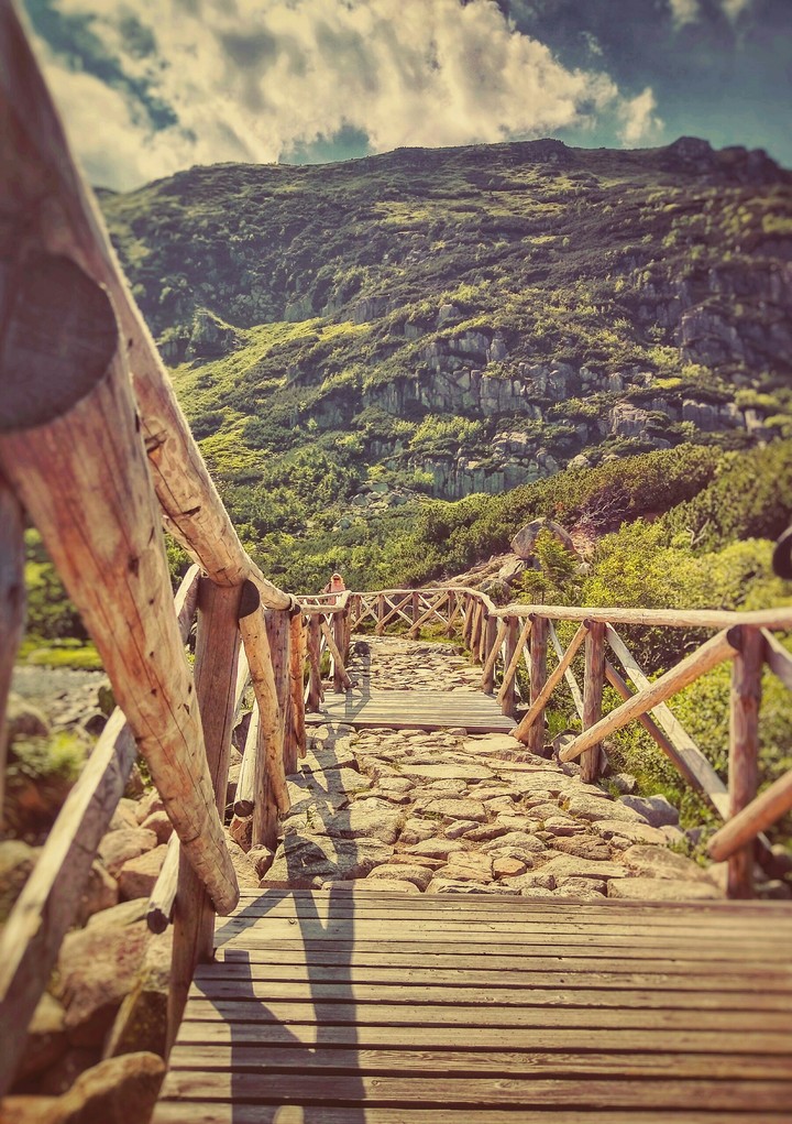 mountain track