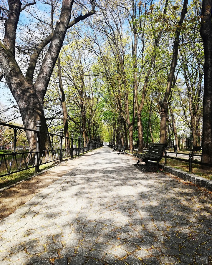 park