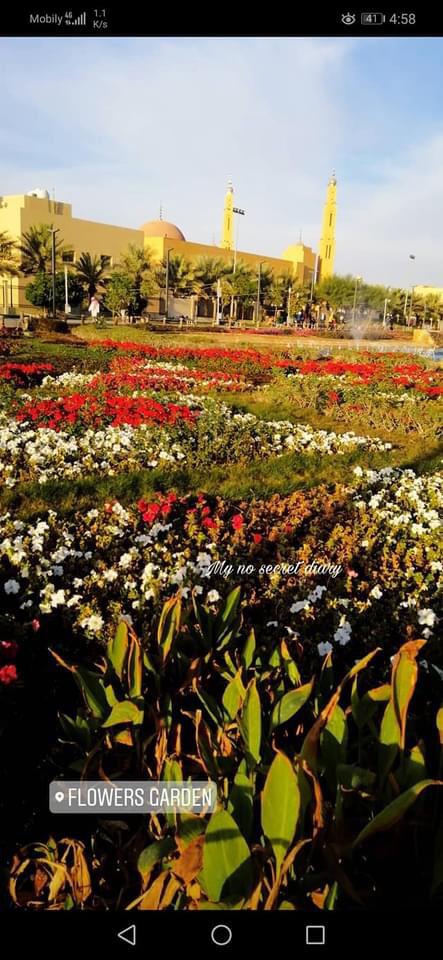 flowers..
