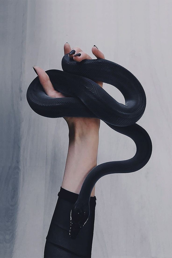 BLVCK Paris