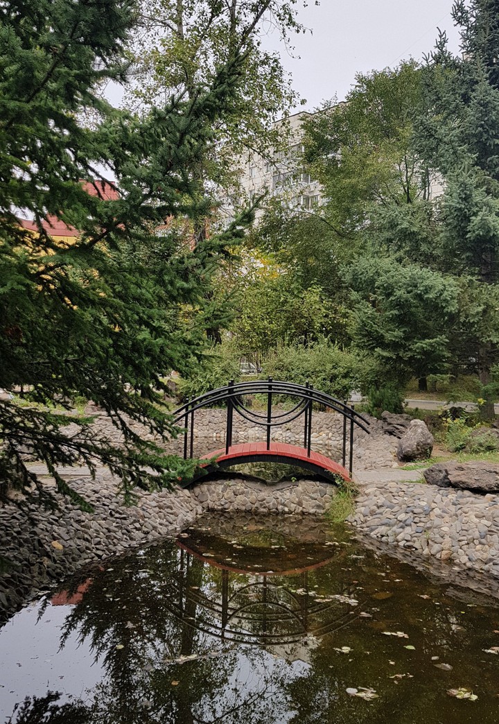 autumn