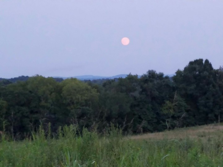 Sunset in Nashville TN
