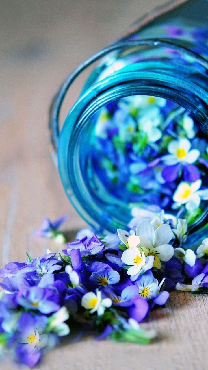 Blue!!