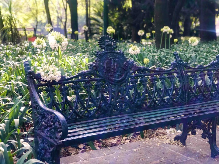 Descanso en Chapultepec