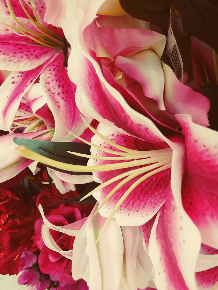 lillies