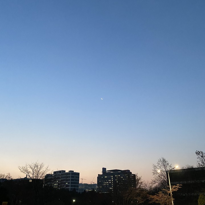 Moon