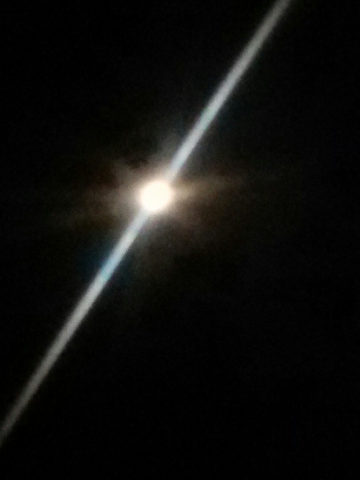 Nachtmond