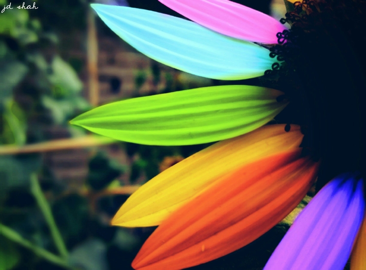 The colors of a Rainbow
