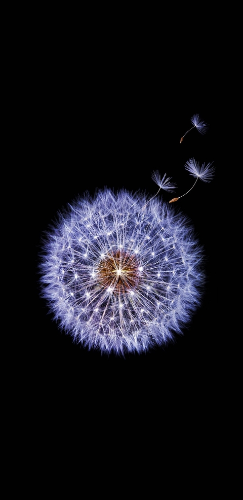 s9 s9 Plus stock wallpapers