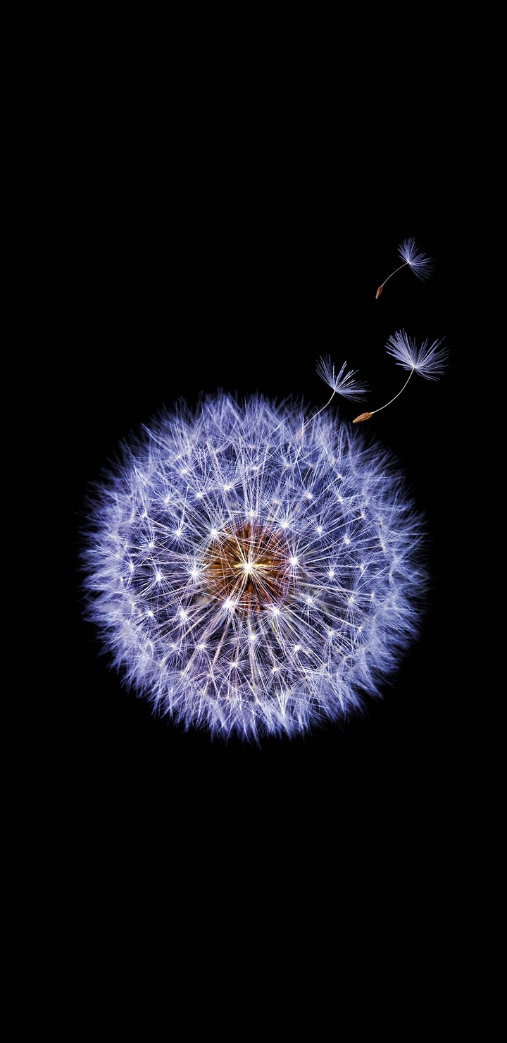 s9 s9 Plus stock wallpapers