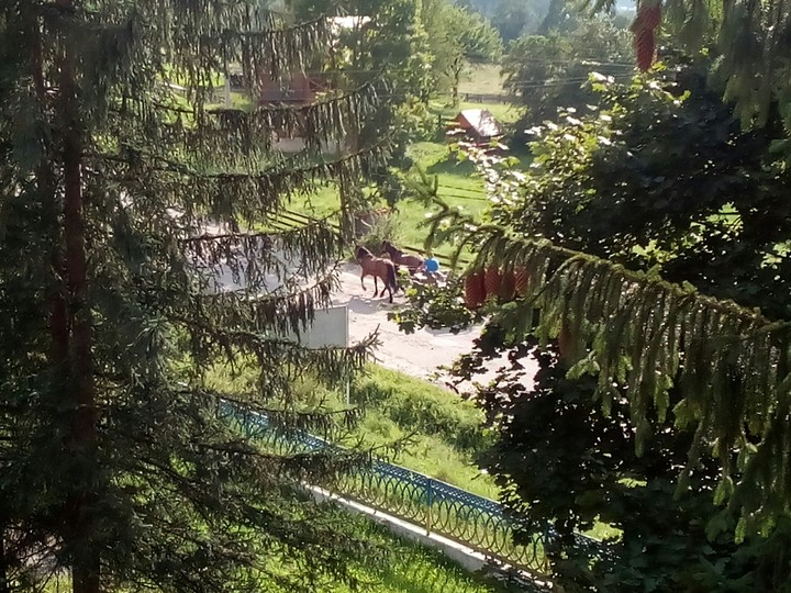 Красота природы